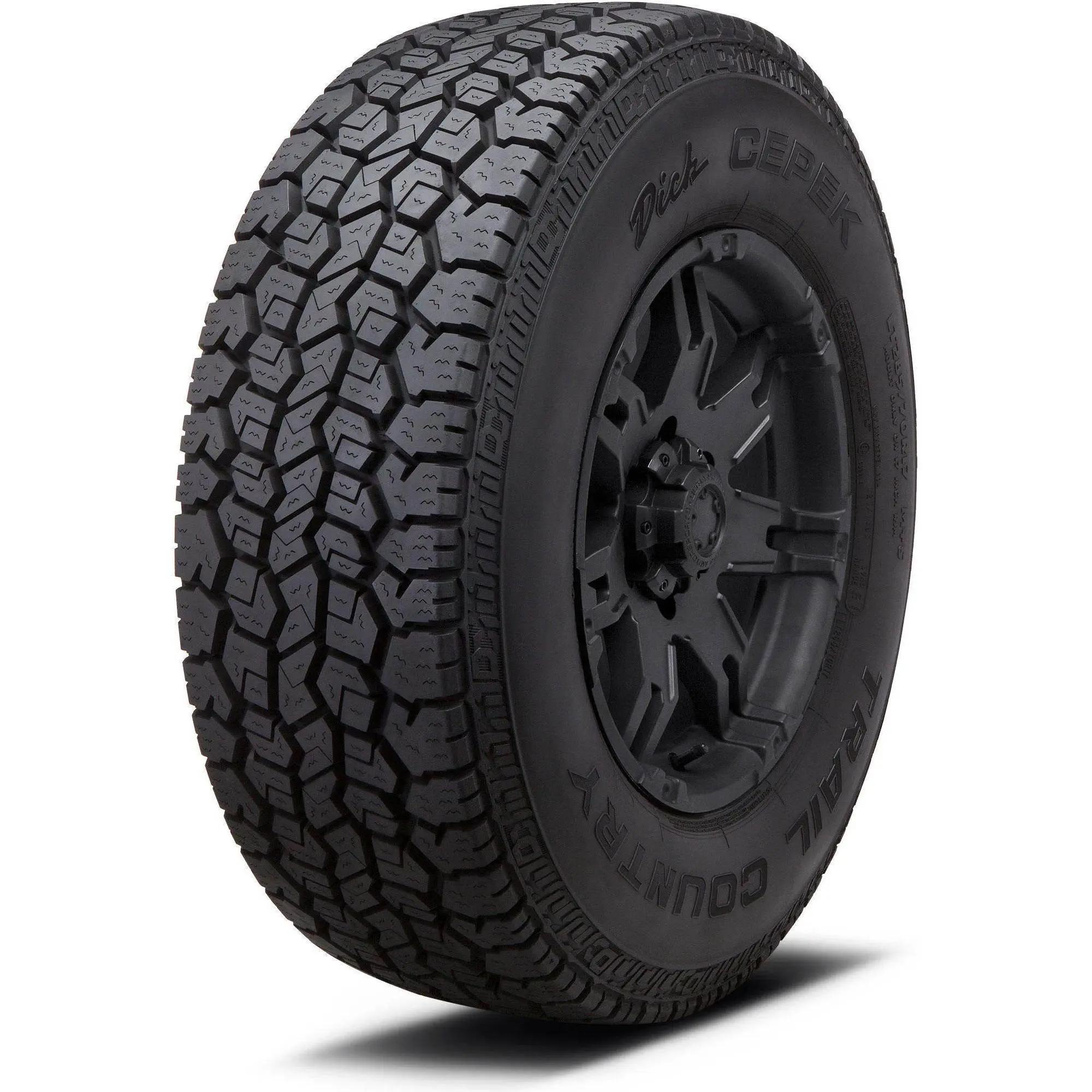 Dick Cepek 245/65 R17 107T Trail Country AGOTADO