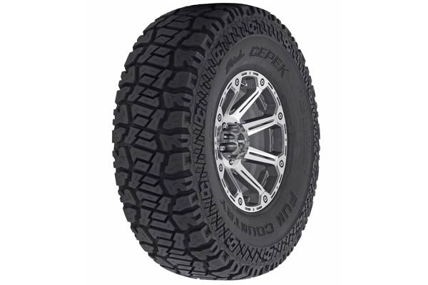 Dick Cepek 275/70 R18 125/122Q Fun Country AGOTADO