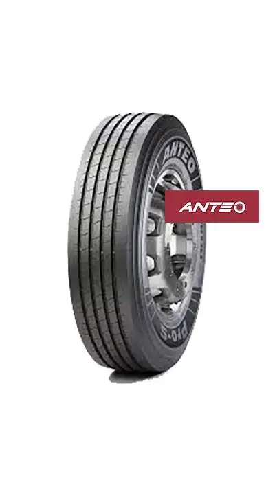 Anteo 275/80 R22.5 149/146M Pro S (M+S) (DIR)